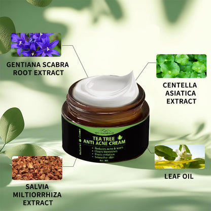 Naturkosmo Tea Tree Anti-Akne Creme – Klärende Pflege bei Pickeln, Mitessern & Hautunreinheiten, 30 g